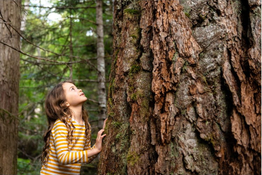 Compromisso Sustentável e Práticas de ESG para Preservação do Meio Ambiente